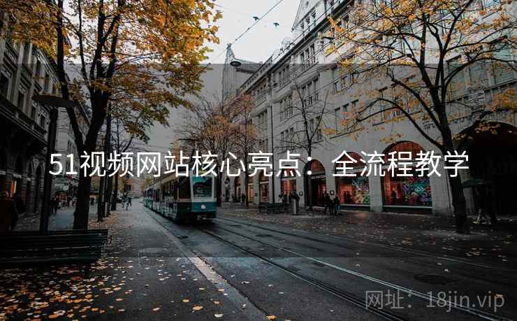 51视频网站核心亮点：全流程教学