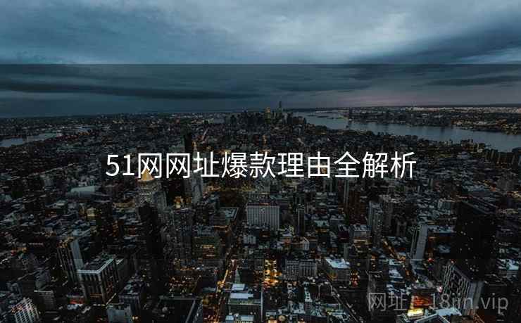 51网网址爆款理由全解析