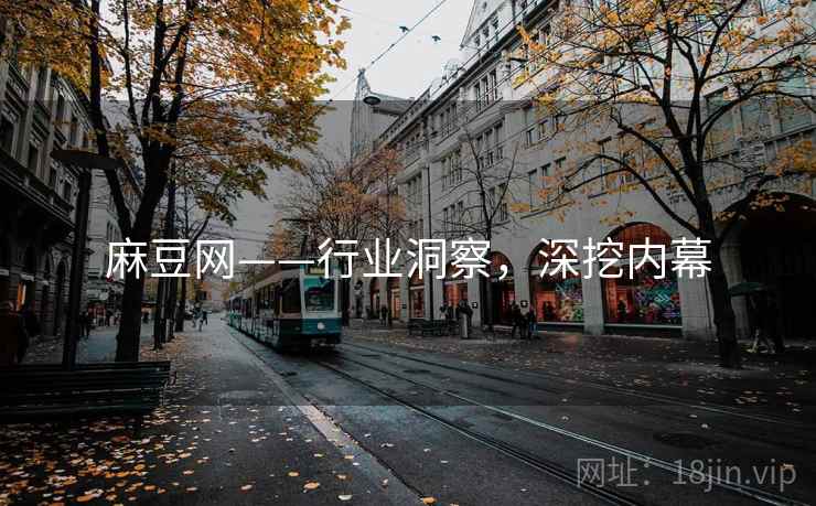 麻豆网——行业洞察，深挖内幕