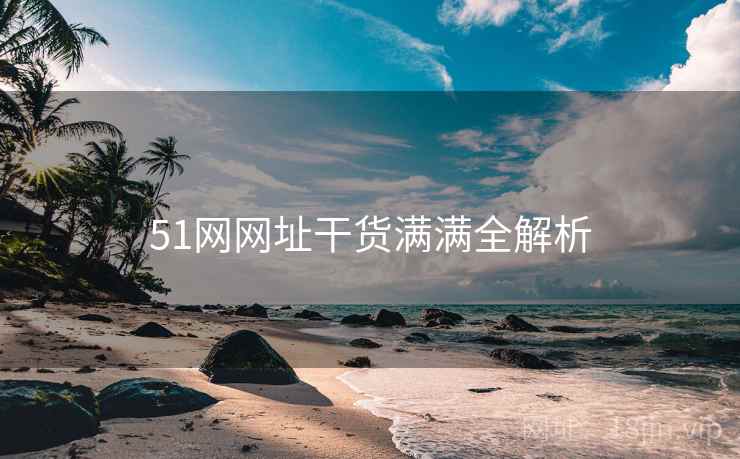 51网网址干货满满全解析