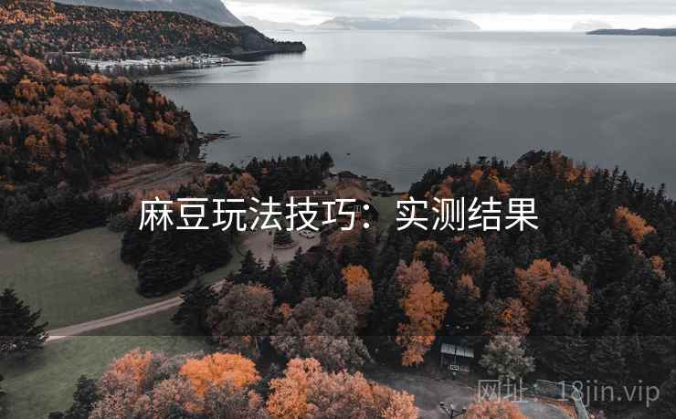 麻豆玩法技巧：实测结果
