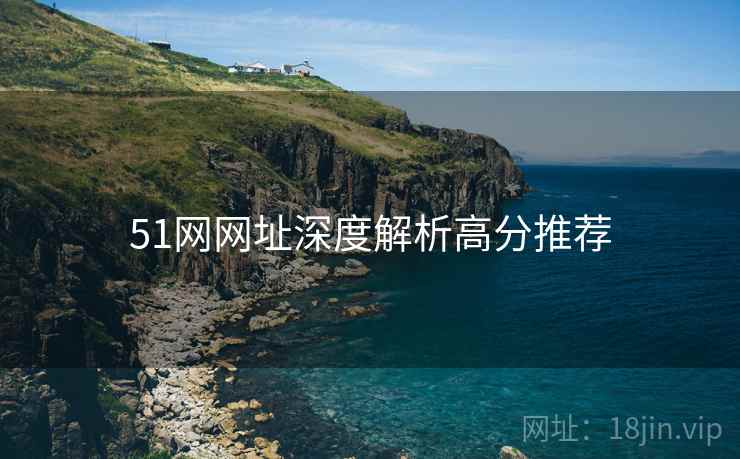 51网网址深度解析高分推荐
