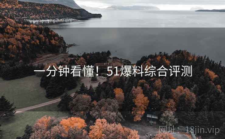 一分钟看懂！51爆料综合评测