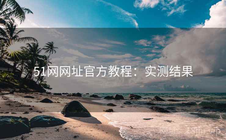 51网网址官方教程：实测结果