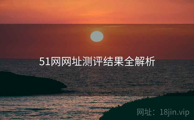 51网网址测评结果全解析