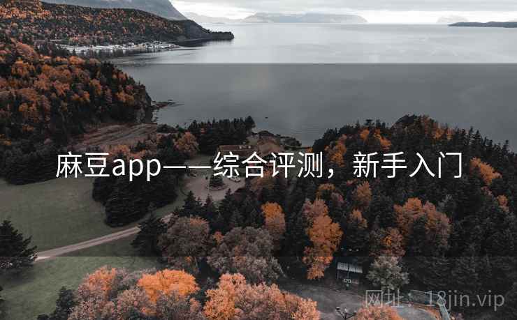 麻豆app——综合评测，新手入门