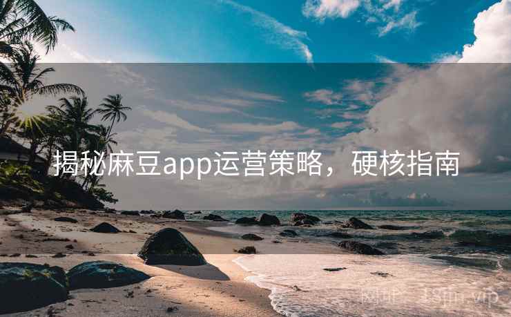 揭秘麻豆app运营策略，硬核指南