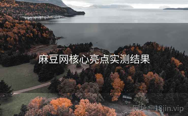 麻豆网核心亮点实测结果