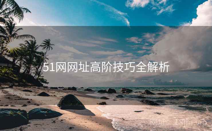 51网网址高阶技巧全解析