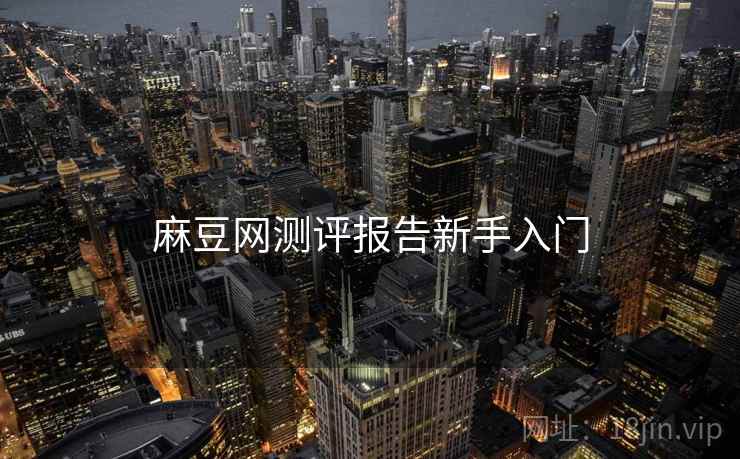 麻豆网测评报告新手入门